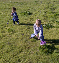 Chopping grass
